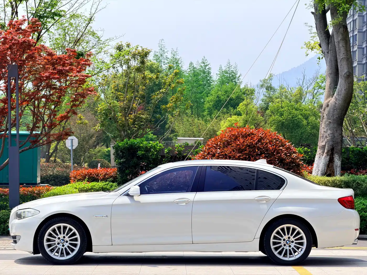 BMW 5 Series 2013 535Li Leadership фото 16