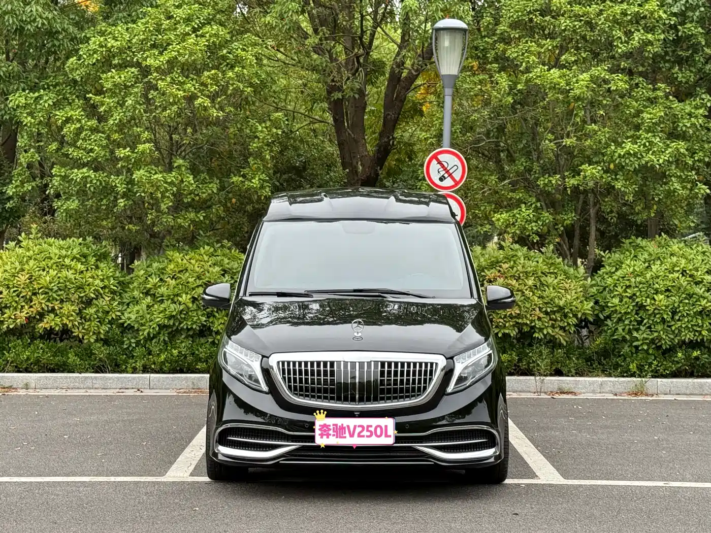 Mercedes-Benz V-Class (Import) 2023 2020 V 250 L