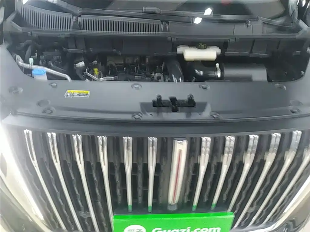 Hongqi HQ9 2023 2.0T Smart Connect Flag Enjoy Edition фото 20