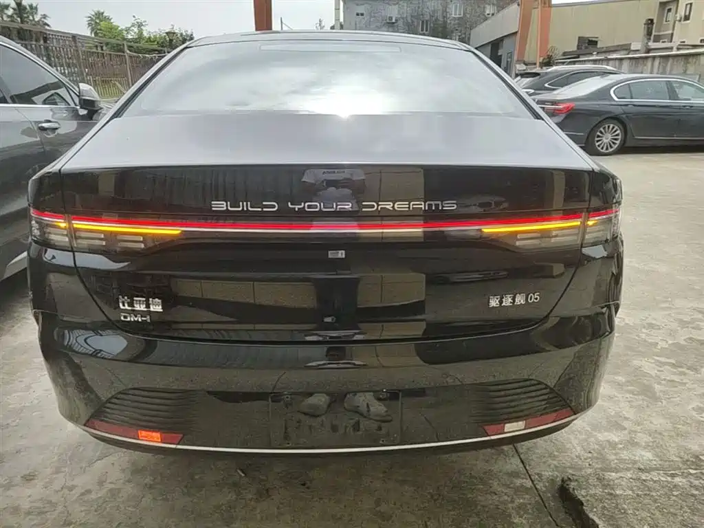 BYD Destroyer 05 2024 Glory Edition DM-i 55KM Luxury фото 6