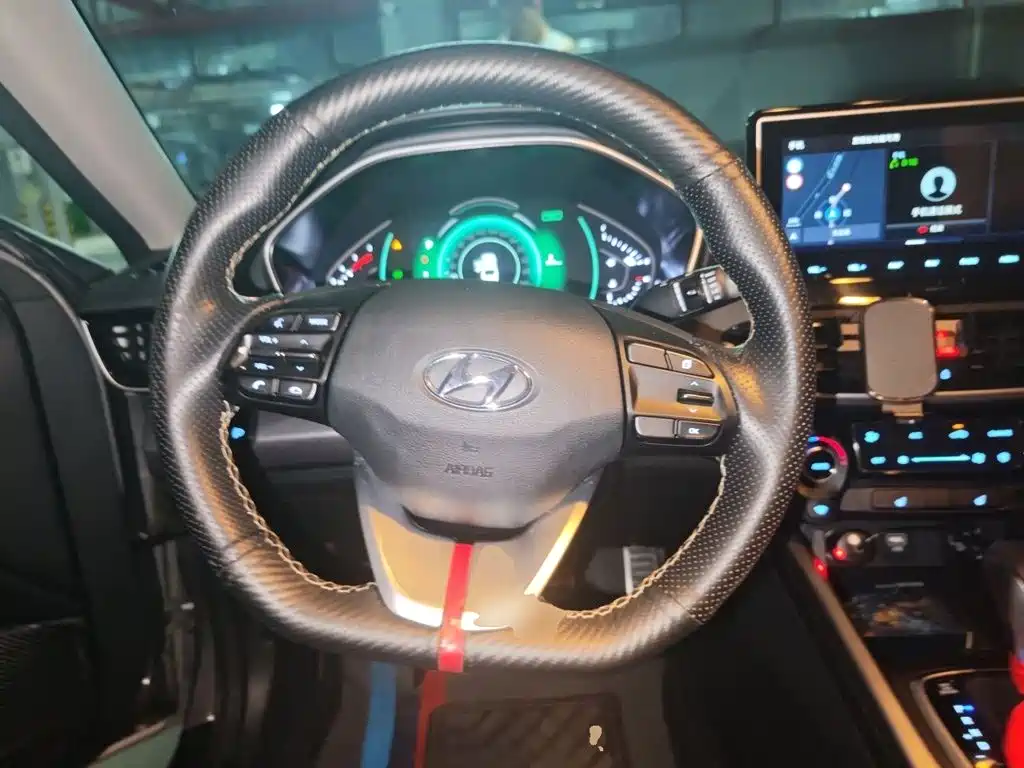 Photo 11 - Hyundai Lafesta