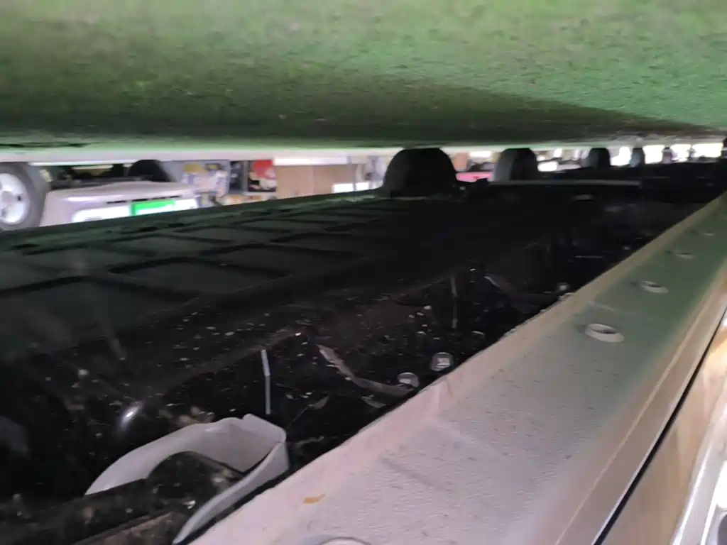 Wuling Motors Wuling Zhiguang NEV 2026 2025 Model 305km Base Version