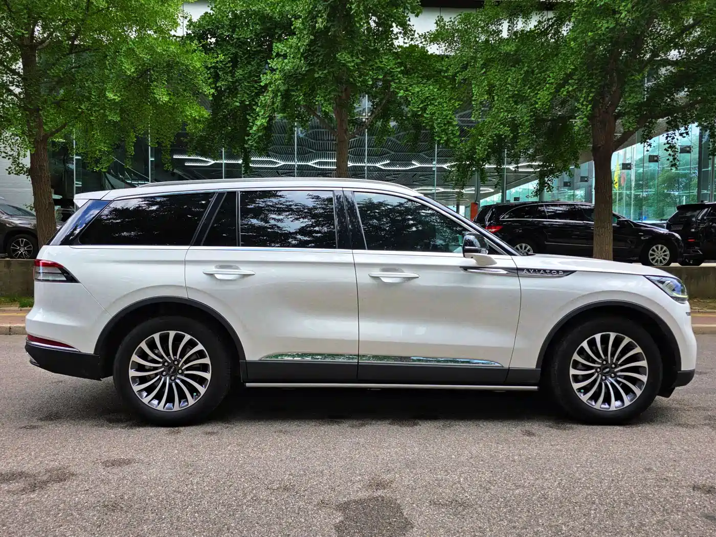 صورة 8 - Lincoln Aviator