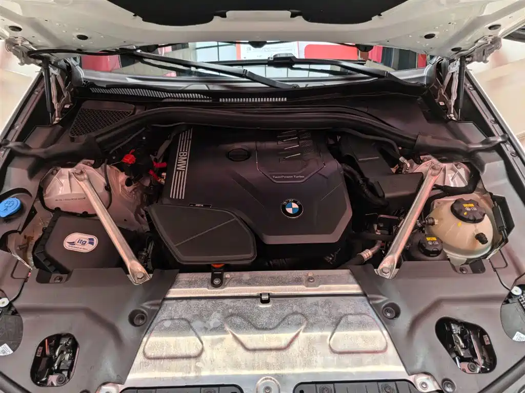 BMW X3 2023 xDrive30i Leading M Night Package фото 23