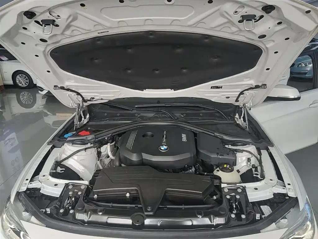 BMW 3 Series 2018 318Li фото 20