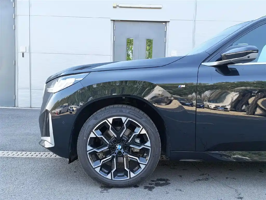 BMW X3 2025 xDrive30L Leading Model M Sport Black Package фото 6