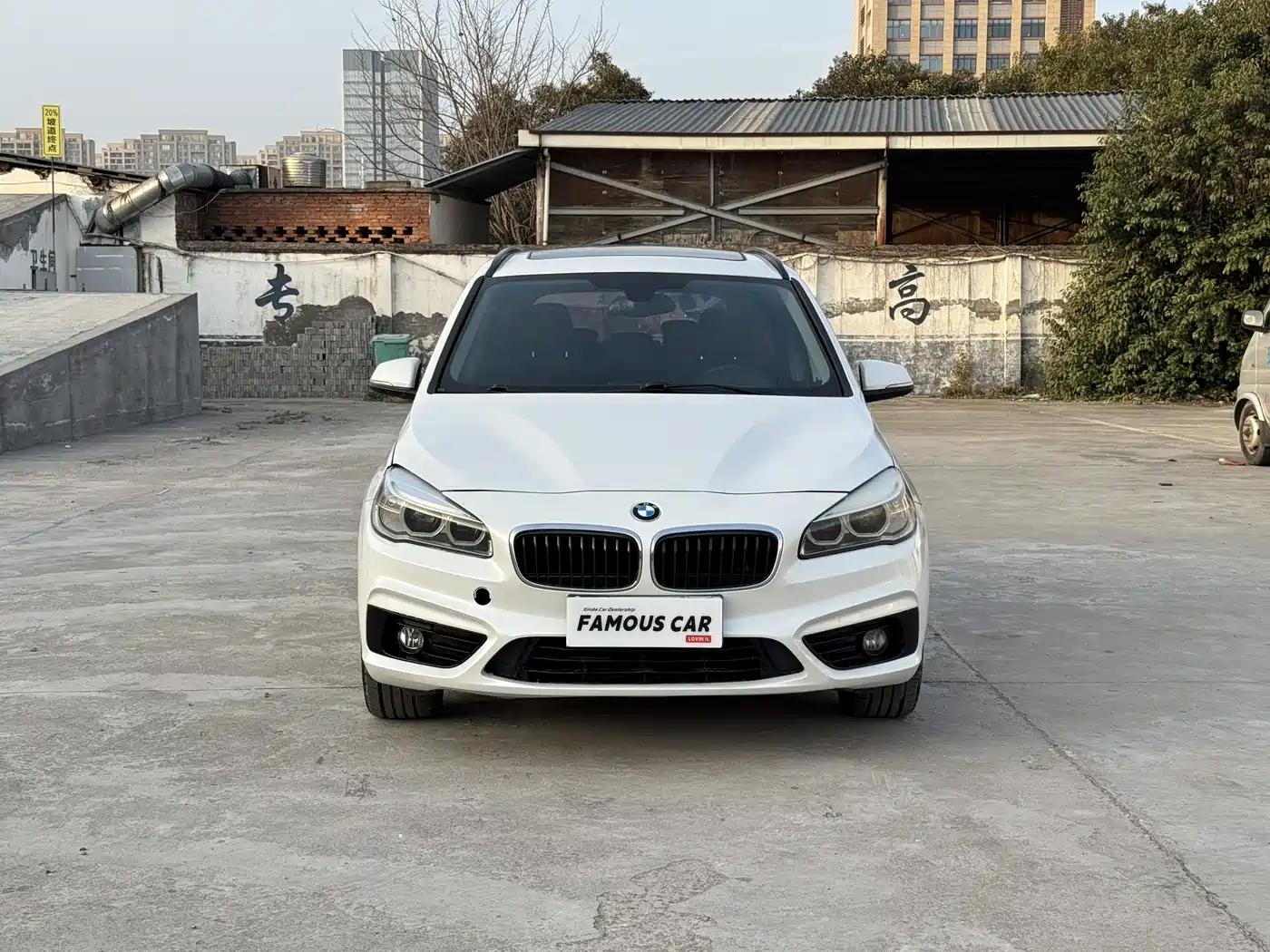 BMW 2 Series Gran Tourer 2015 218i Leading фото 2