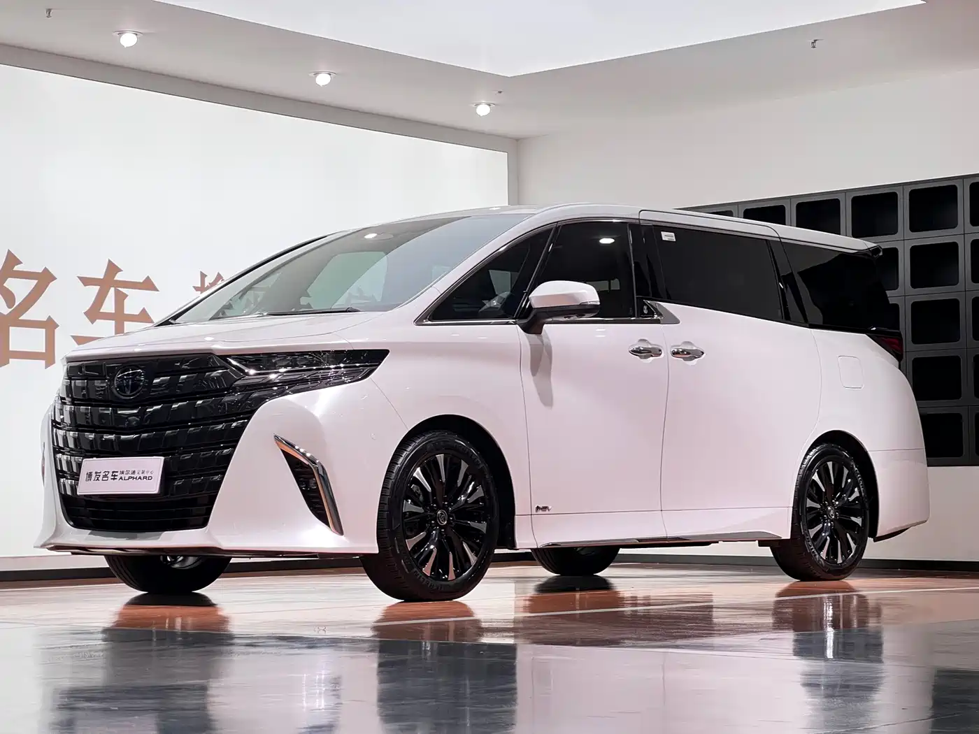 TOYOTA ELFA 2024