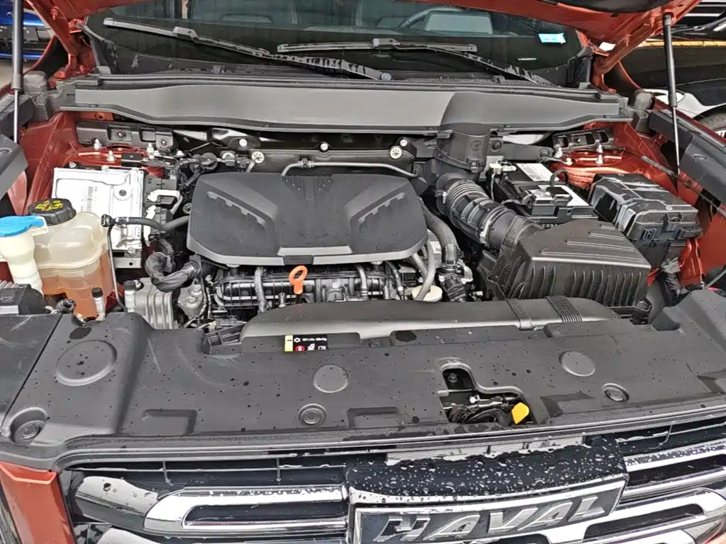 Haval Dargo 2021 2021 2.0T DCT 4WD Chinese Rural Dog Edition