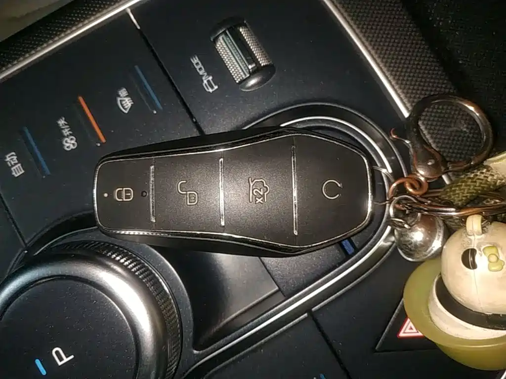BYD Destroyer 05 2024 Glory Edition DM-i 55KM Luxury фото 9
