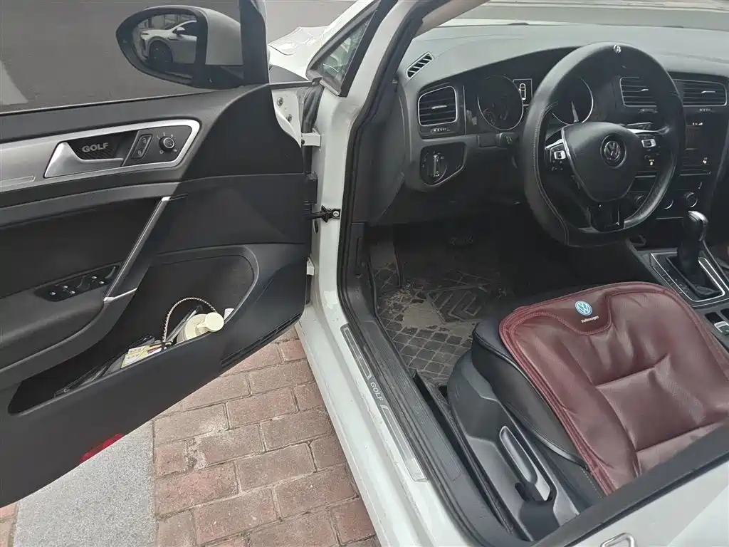 Volkswagen Golf 2019 200TSI DSG Comfort Progressive China VI фото 14