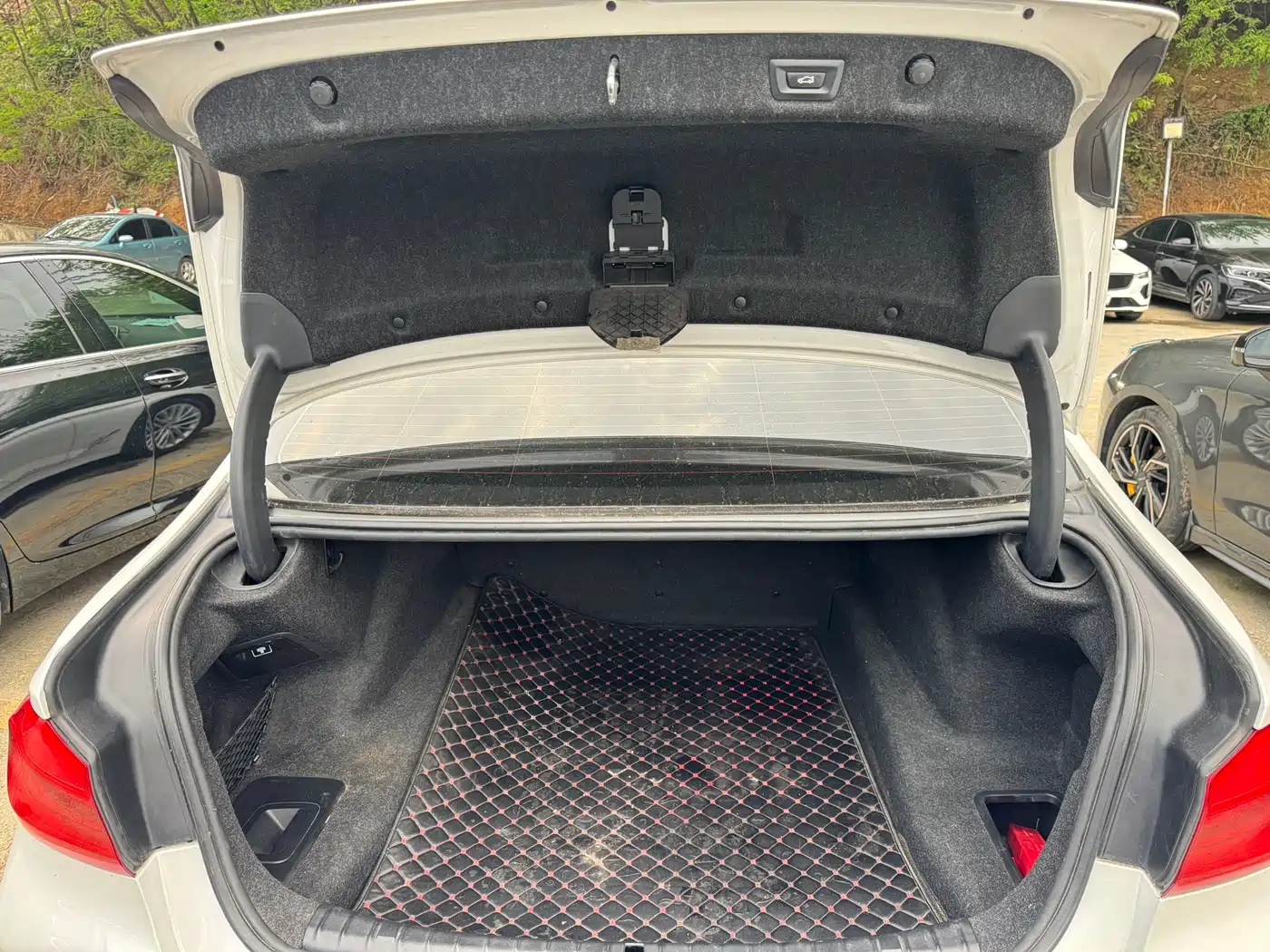 BMW 5 Series 2020 530Li Leading Luxury Package фото 11