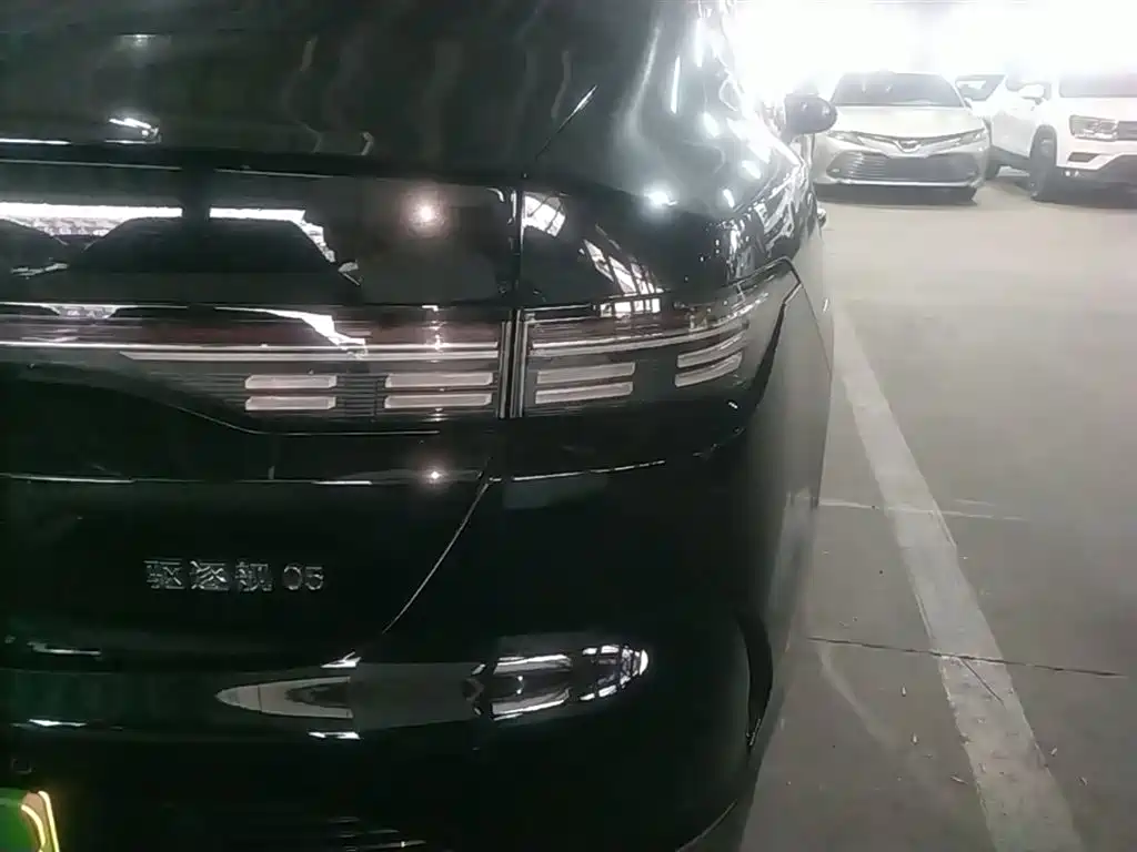 BYD Destroyer 05 2024 Glory Edition DM-i 55KM Luxury фото 8