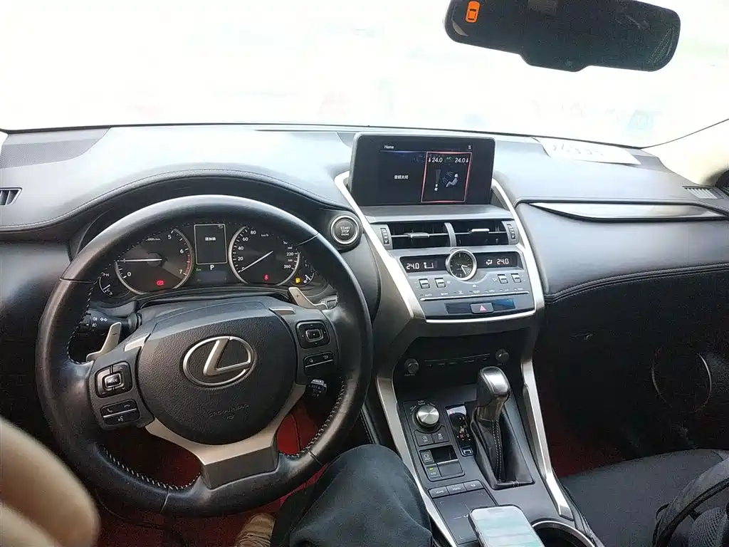 Lexus NX 2018 Model 200 FWD Fengxing Edition China V фото 12