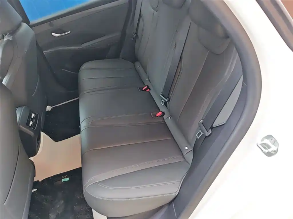BYD Qin PLUS 2025 DM-i Smart Drive 55KM Leader фото 17