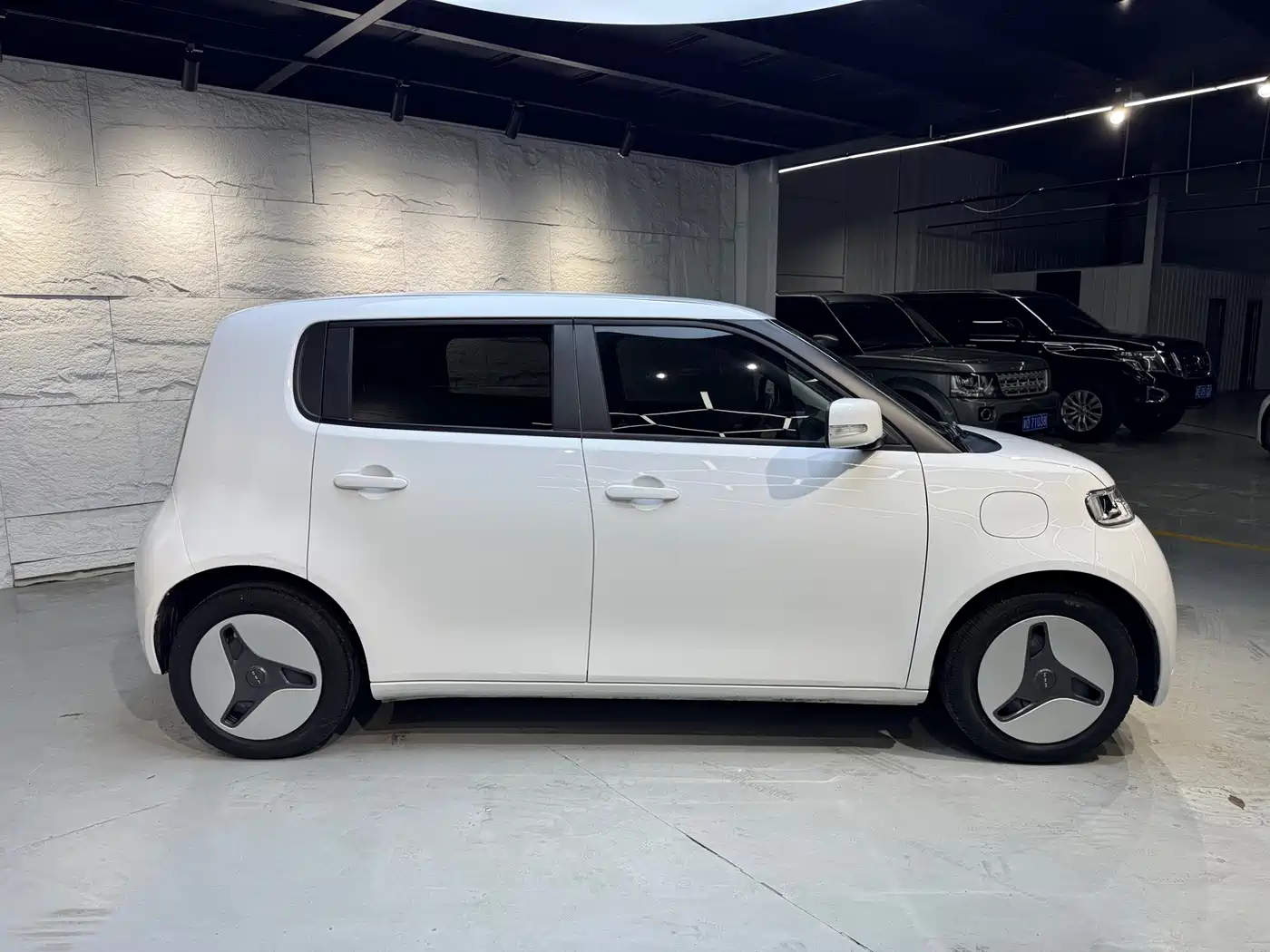 Ora White Cat 2020 2020 360km Luxury Model