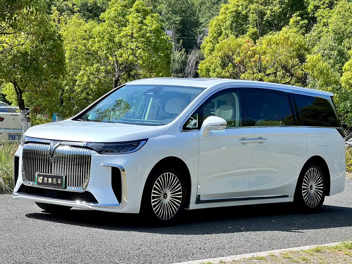 Voyah Auto Voyah Dreamer 2025 2025 PHEV 4WD Kunpeng Premium Edition