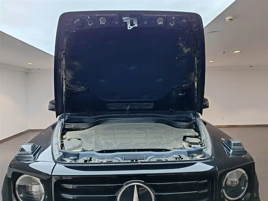 MERCEDES-BENZ G CLASS NEW ENERGY