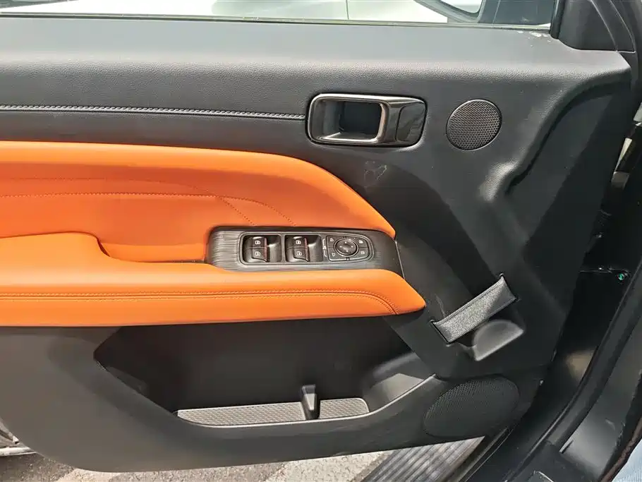 Haval H9 2024 2.0T Gasoline AWD Extreme Edition фото 7