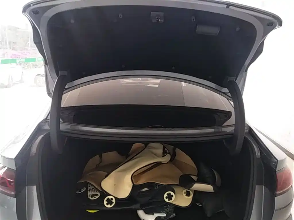 BYD Qin L 2024 DM-i 80KM Leading Edition фото 19