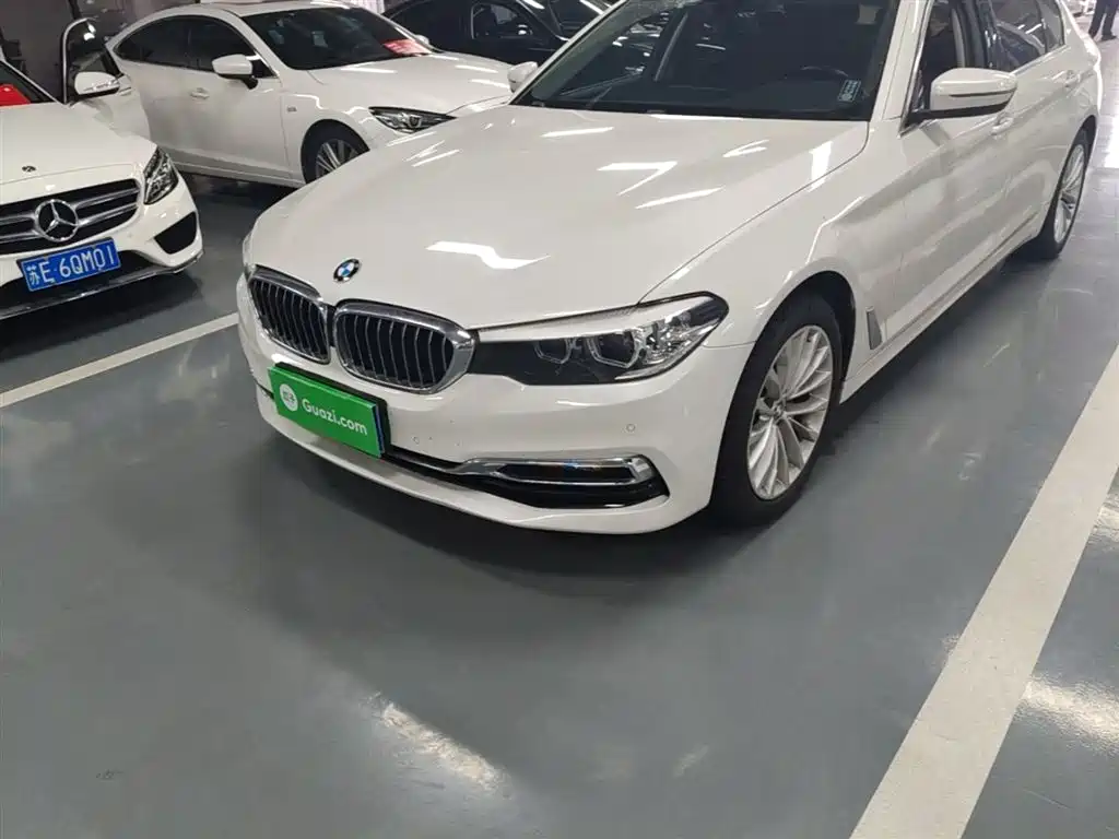 BMW 5 Series 2019 525Li Luxury Package фото 23