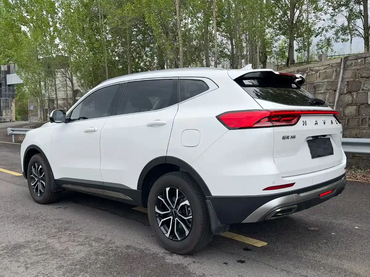 Haval H6 2023 National Trend Edition 1.5T Automatic Urban фото 7