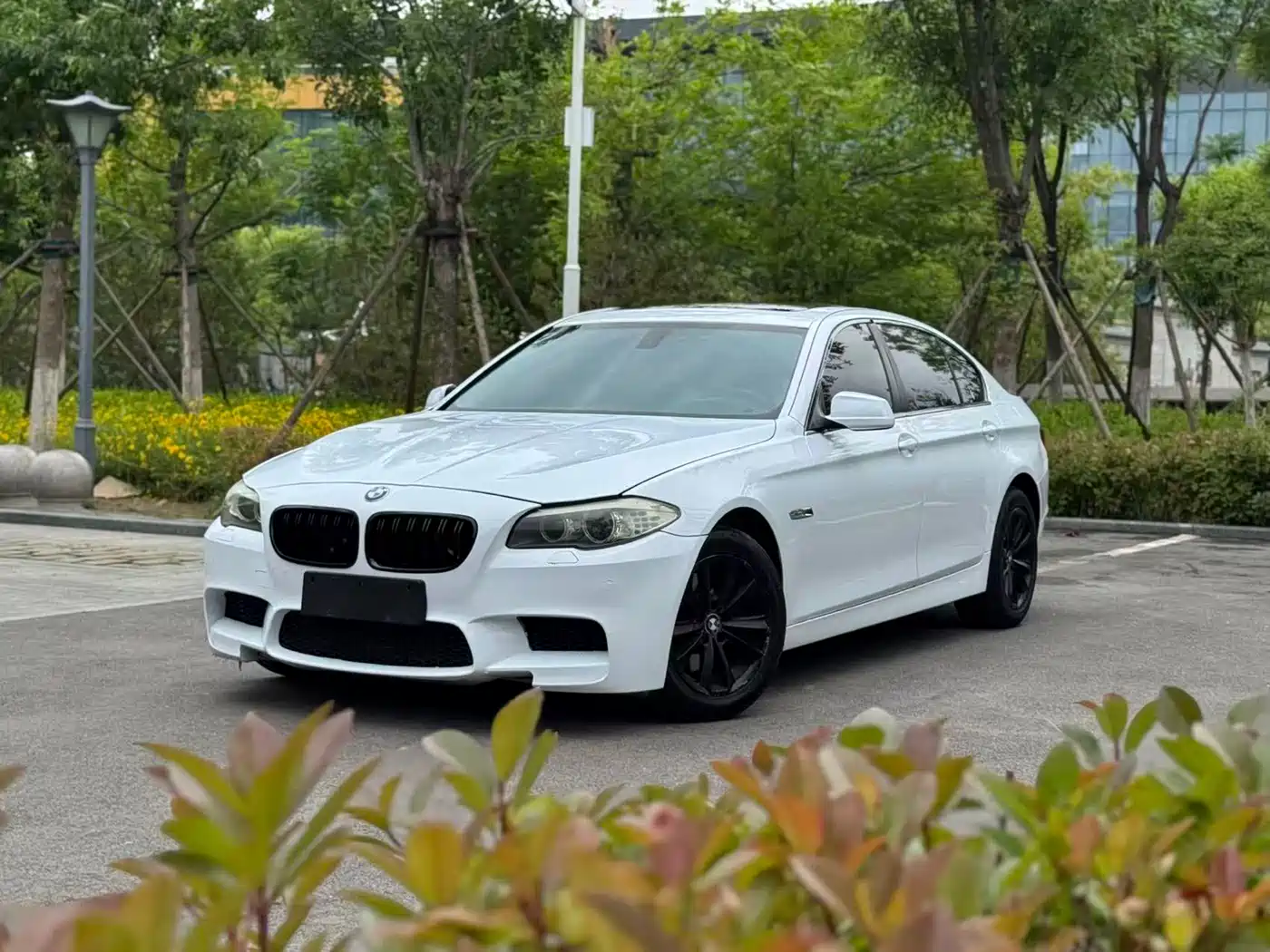BMW 5 Series 2011 523Li Leading фото 7