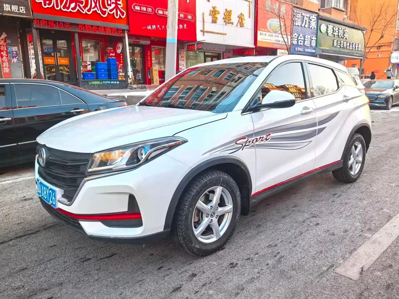 DONGFENG SCENERY 500