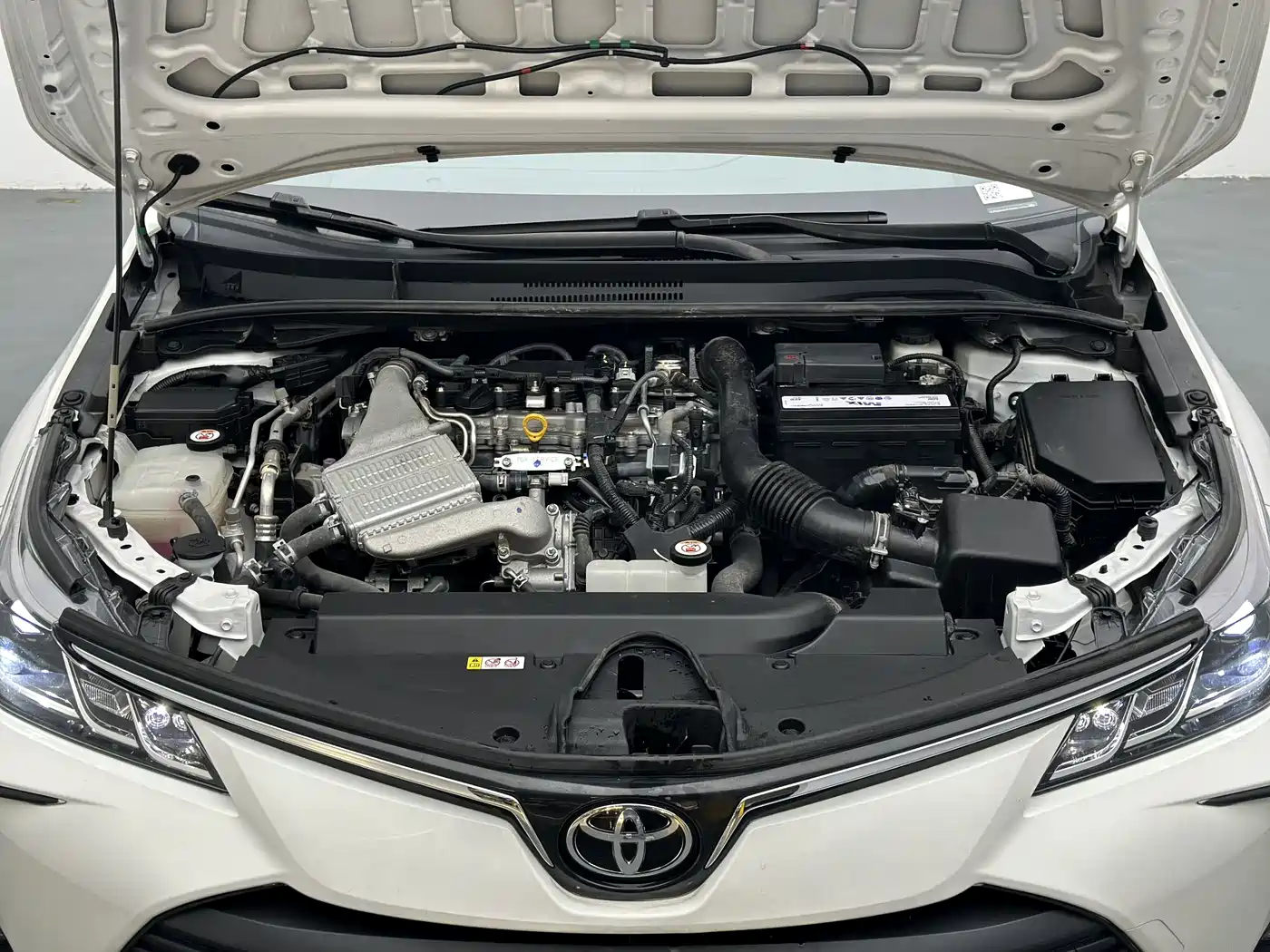 Toyota Corolla 2024 2023 1.2T Pioneer Edition