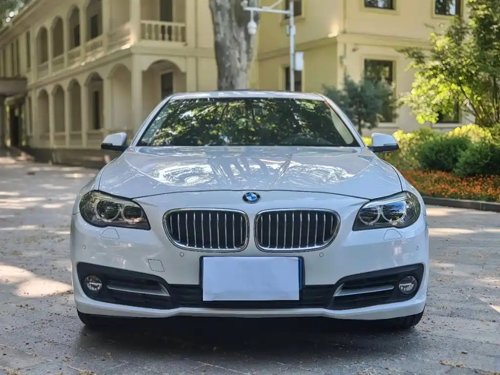BMW 5 Series 2014 530Li Leading фото 2