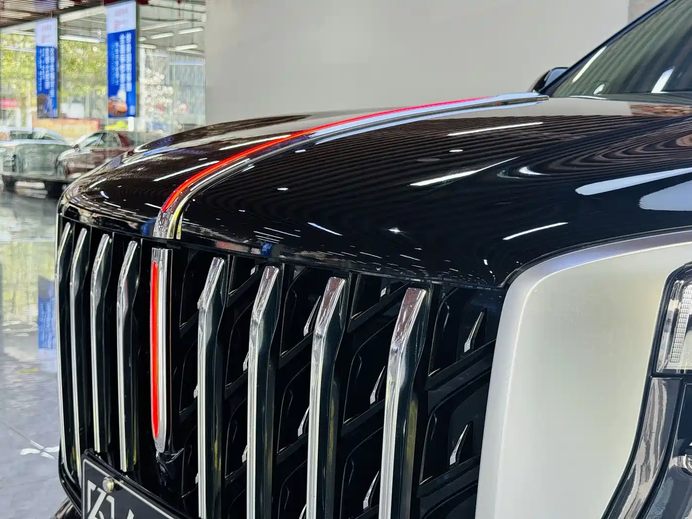 Hongqi HS5 2023 2.0T AWD Flag Enjoy Pro Edition фото 30