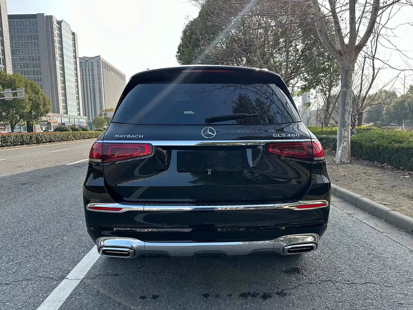 Mercedes-Benz Maybach GLS 2022 GLS 480 4MATIC фото 3