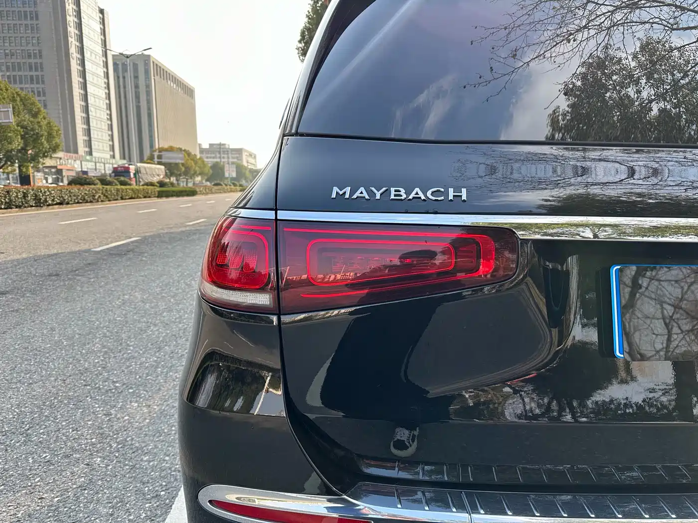 Mercedes-Benz Maybach GLS 2022 GLS 480 4MATIC фото 24