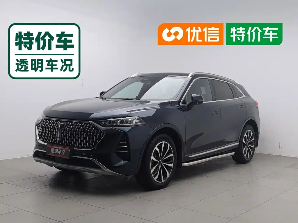 WEY Mocha 2021 2021 2.0T 2WD Extra Rich Edition
