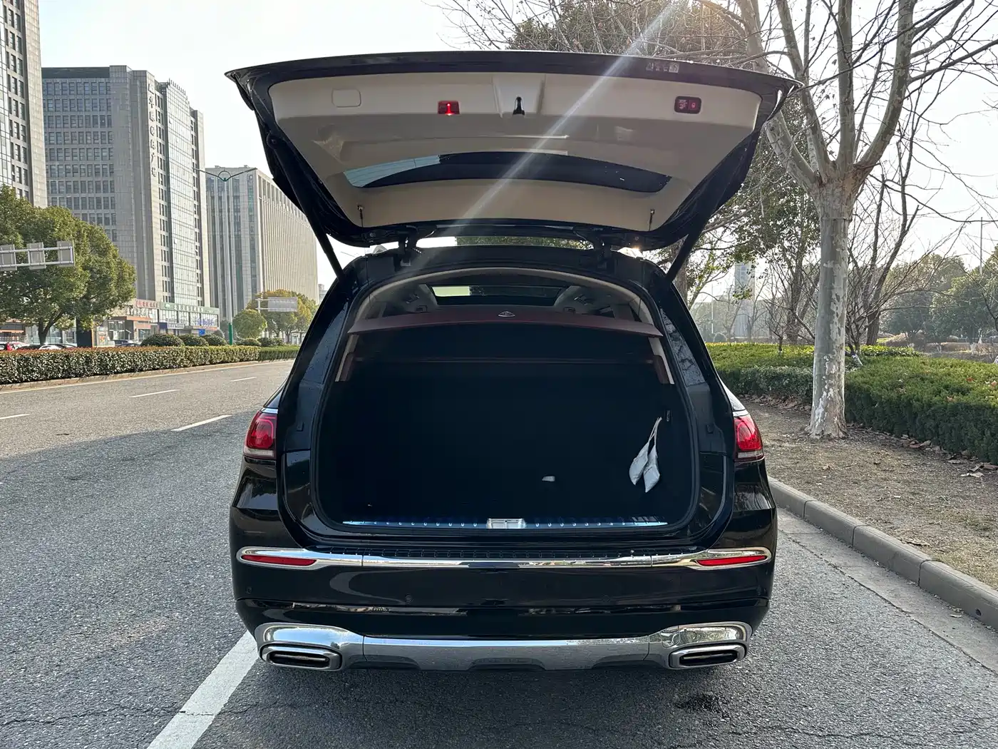 Mercedes-Benz Maybach GLS 2022 GLS 480 4MATIC фото 20