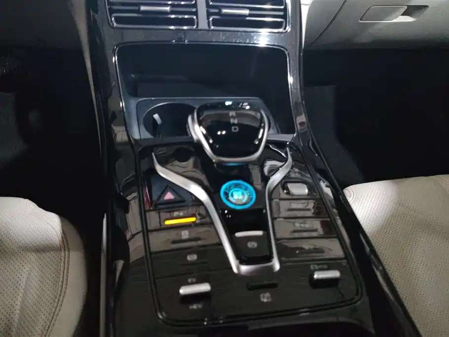 BYD Qin PLUS 2024 Glory Edition DM-i 55KM Leading фото 16