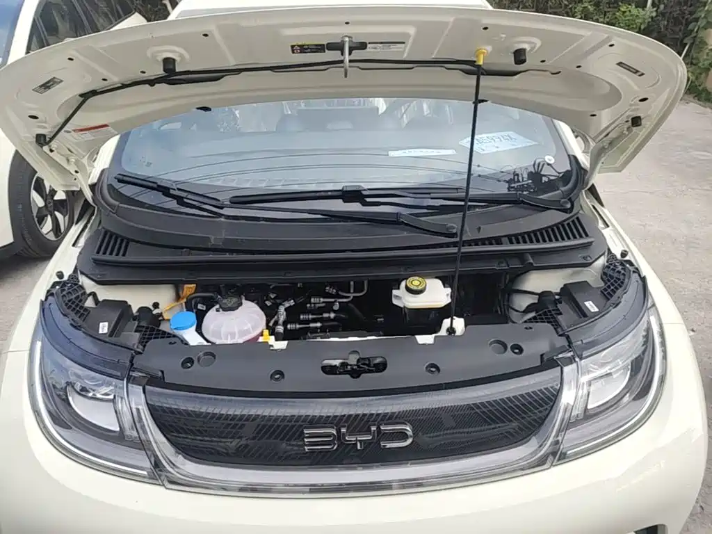 BYD Dolphin 2026 2025 420km Freedom Edition