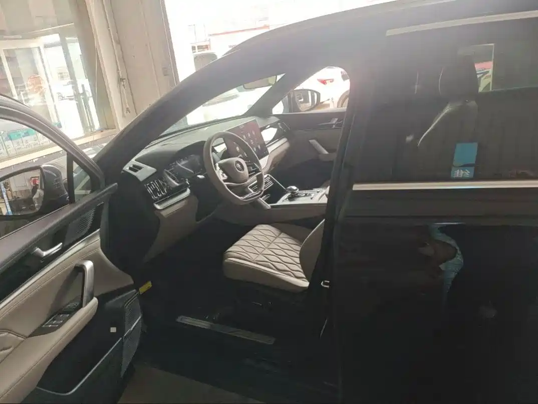 BYD Tang New Energy 2025 2025 Smart Driving Edition DM-i 115KM Premium