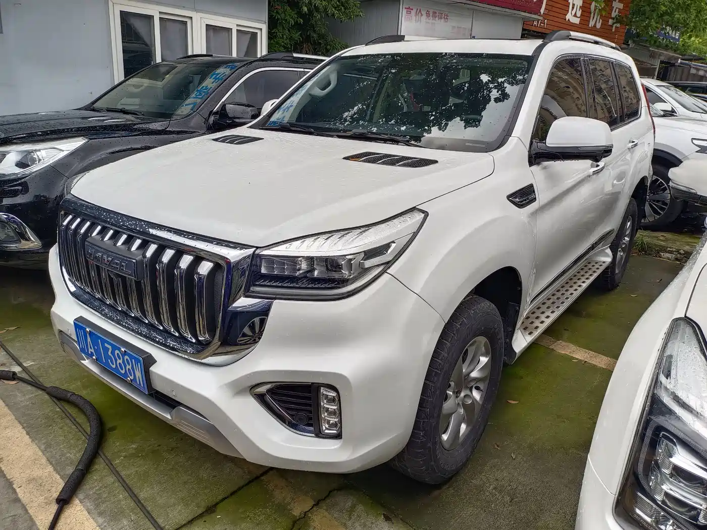 HAVAL H9