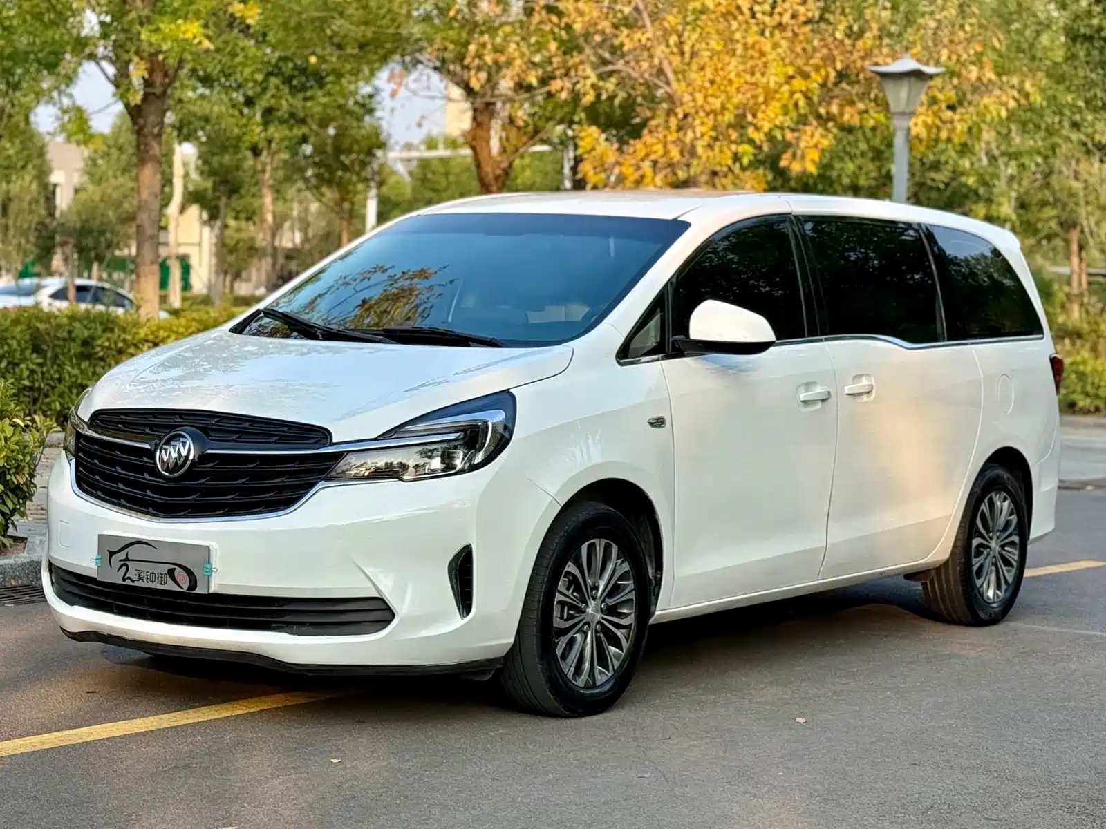 Фото 1 - Buick GL8