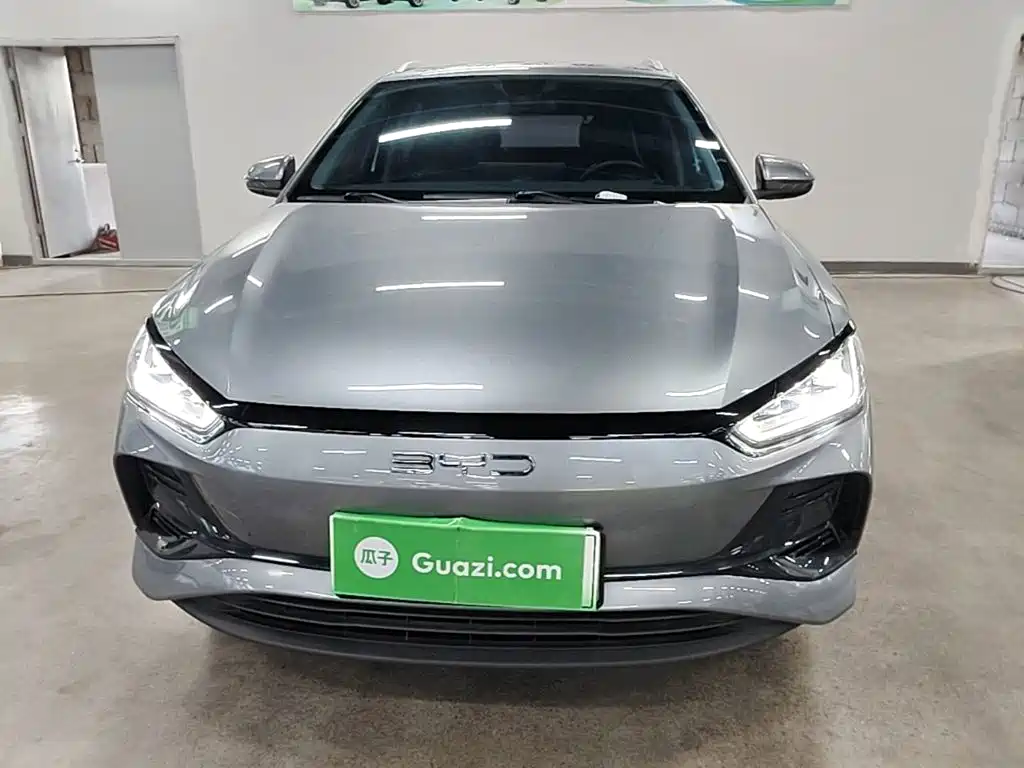 Фото 3 - BYD e2