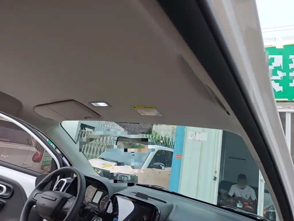 Roewe Clever 2024 2022 311km Vitality Bobo Edition