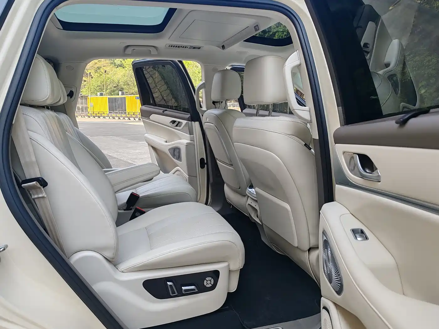 WEI PAI WEI BRAND BLUE MOUNTAIN