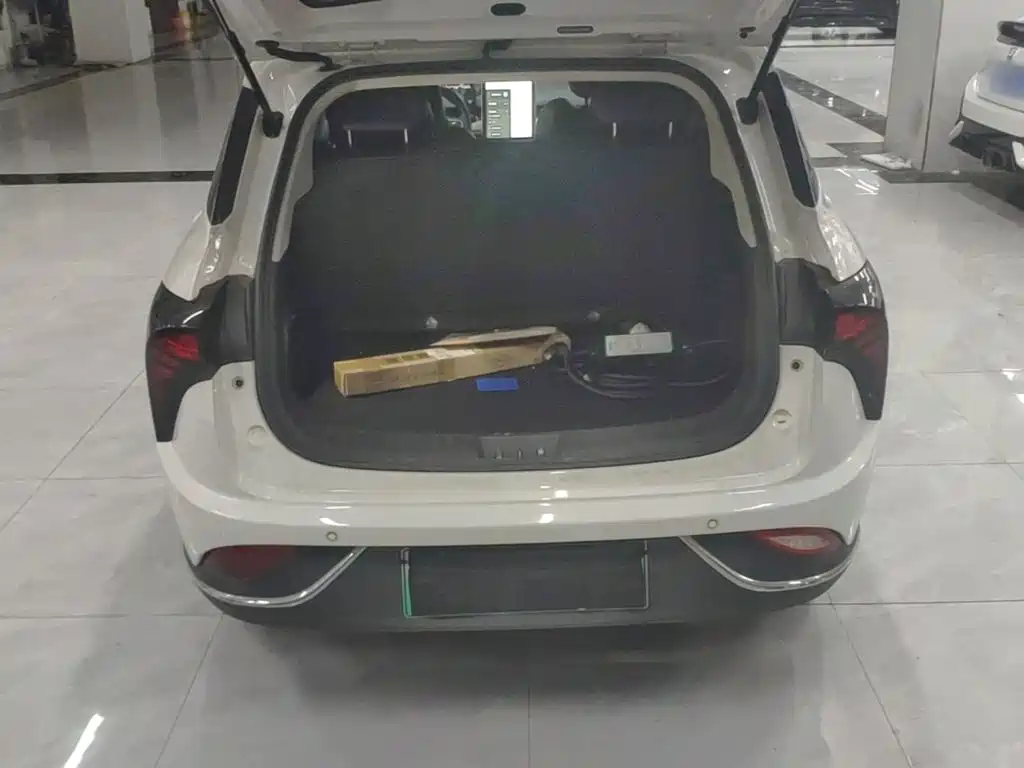 Nezha Auto Nezha V 2022 2022 Tide 300 Lite Ternary Lithium