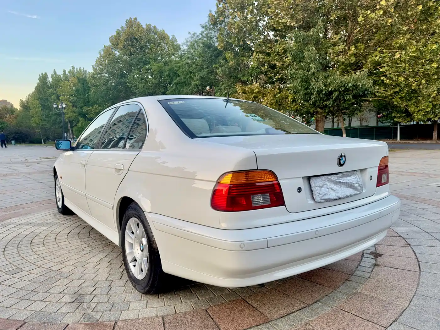 BMW 5 Series (Import) 2002