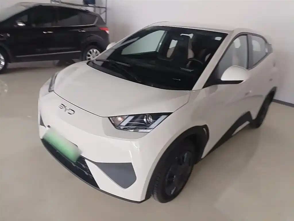 BYD Seagull 2025 Smart Drive Edition 305km Vitality Version фото 2