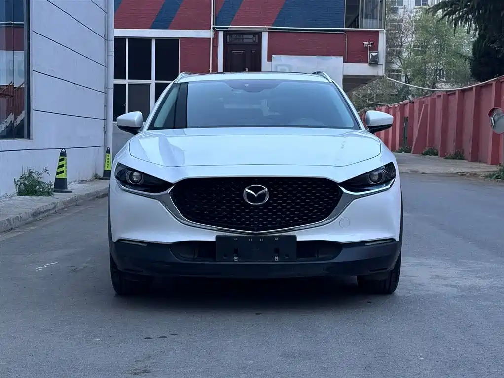  CX 30