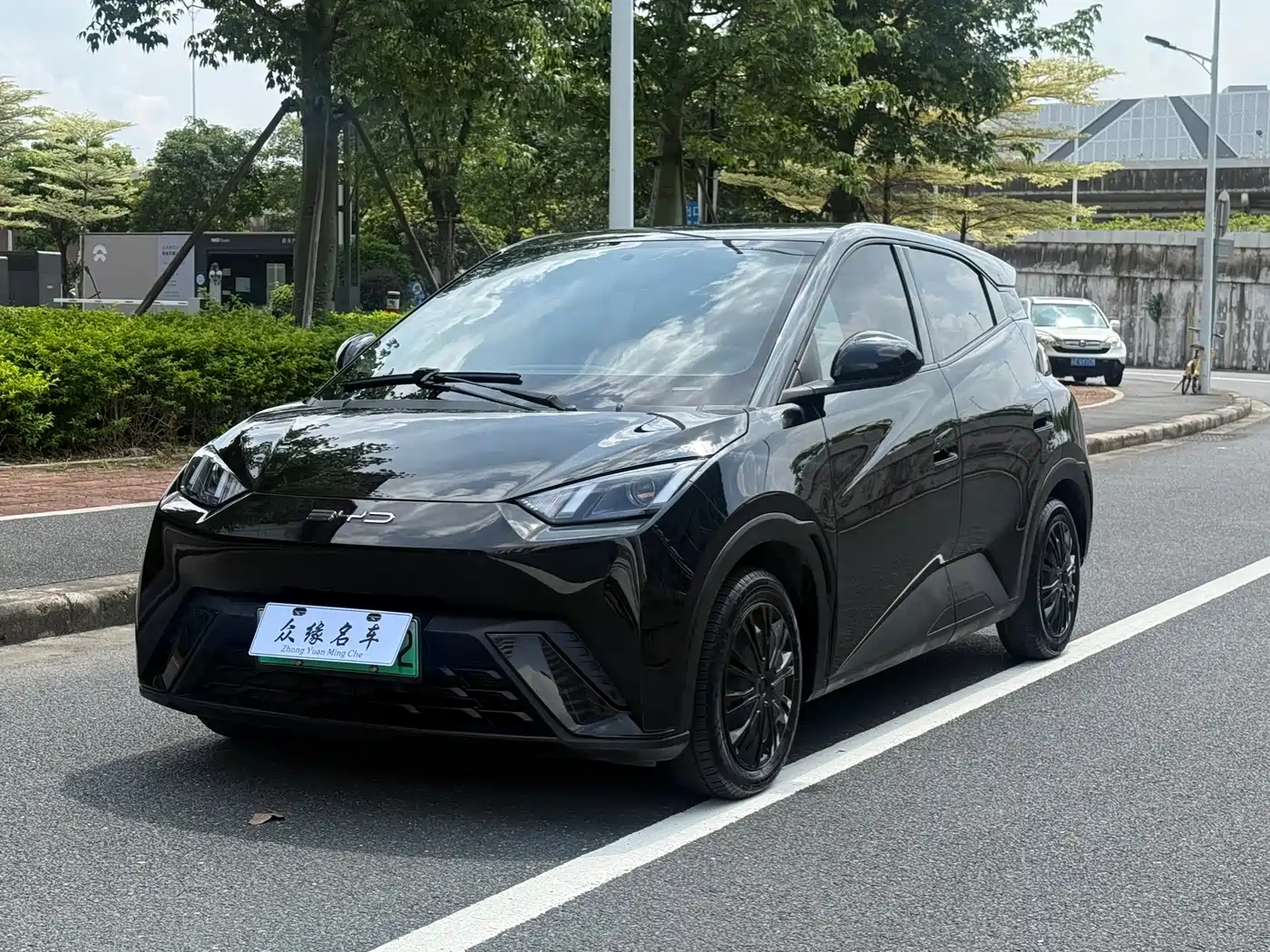 BYD Seagull 2024 Glory Edition 305km Vitality Edition