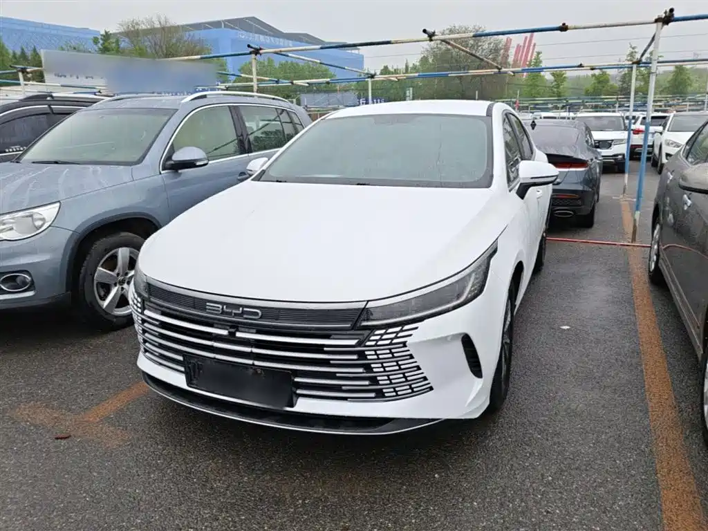 BYD Destroyer 05 2024 Glory Edition DM-i 55KM Luxury