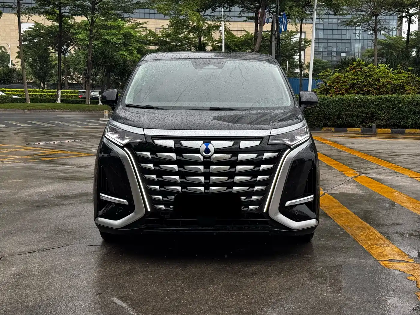 Denza D9 2024 DM-i 980 AWD Prestige фото 2